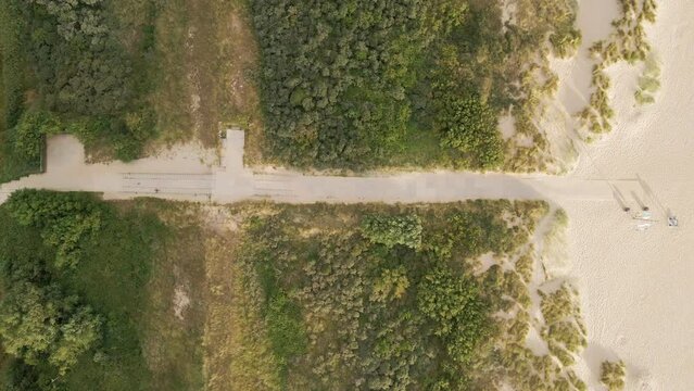 Top down aerial view of a pathway leading through green dunes and towards an empty beach in the netherlands during sunrise