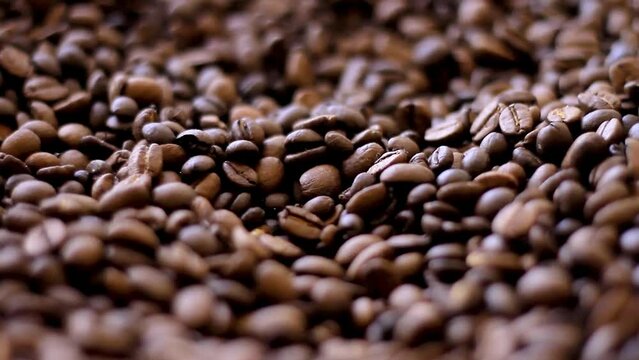 roasted coffee beans on display no people stock footage