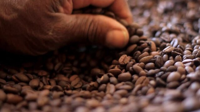 roasted coffee beans on display with people stock footage