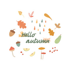 Autumn set. Drawn leaves, acorns, berries. Autumn theme for postcards, posters, advertising.