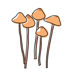 Pholiotina smithii mushrooms. Isolated on white background. Poisonous forest mushroom. Hand drawn doodle. Line art with splashes of color added. Pastel colors. Vector illustration.