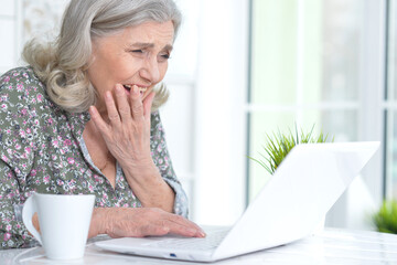 Happy senior woman using laptop