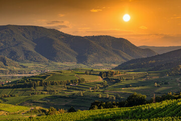Picturesque landscape with vineyards in Wachau valley. Krems region. Lower Austria