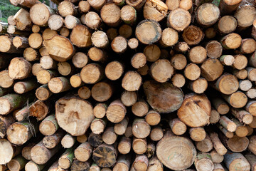 Stacked wood close-up texture. Firewood storage background. Stocks of wooden logs. Wood for a fireplace.