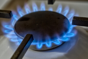 Close-up of the lit burner of a gas stove. Power heat and energy with blue flames