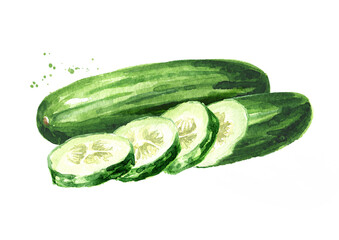 Green whole and cut Cucumber, Watercolor hand drawn illustration, isolated on white background