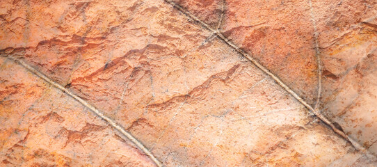 Illustration with porous abstract texture and background.