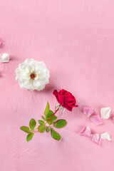 Flower banner with roses and petals, shot from the top on a pink table with a place for text, a romantic background with fresh flowers