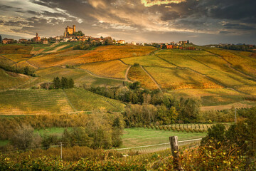 Landscape of Barolo wine, Langhe zone - 522006181