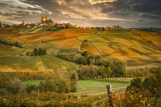 Landscape of Barolo wine, Langhe zone