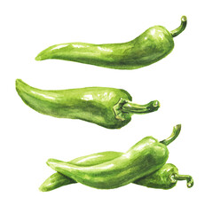 Green hot chili pepper set. Hand drawn watercolor illustration, isolated on white background