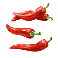 Red hot chili pepper set. Hand drawn watercolor illustration, isolated on white background - obrazy, fototapety, plakaty