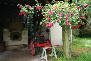 Fototapeta na wymiar old wooden cart with flowers in the garden and stone fire place in brittany france 