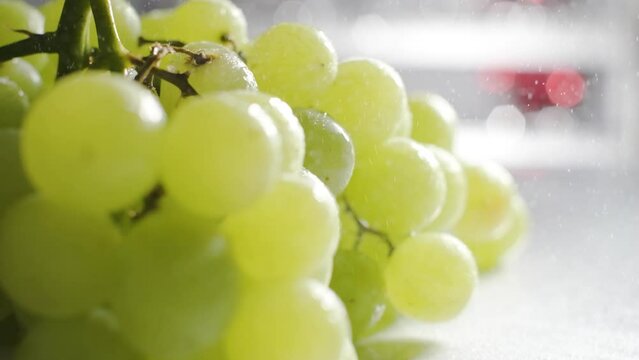 Super Slow motion of white grapes falling on table, water particles pouring down, Fresh fruit 