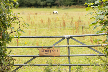 selective focus, A hand-painted sign that says Please do Not feed , blur to pony in the background