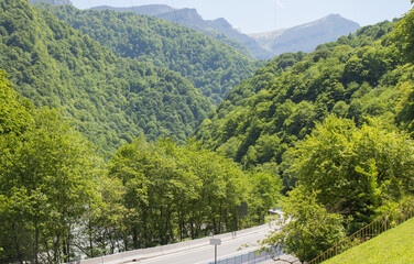 panorama of beautiful countryside sunny afternoon. wonderful springtime landscape in mountains. - 522011330