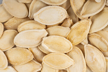 close up of pumpkin seeds