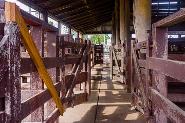 Empty sheep pens at Warwick salesyards in Queensland.