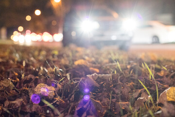 Low angle, close-up: Colorful fallen autumn leaves cover the sidewalk, in the background on the road there are traces of headlights of cars passing on the road at night. 