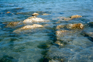 rocks that rise out of the sea at low tide