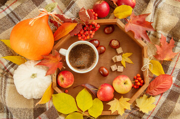 Cup of coffee with apples, colourful autumn leaves and pumpkins on plaid top view