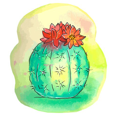 Watercolor cactus image, houseplant illustration, sharp needles on body, desert fauna, hand drawn print with black outline