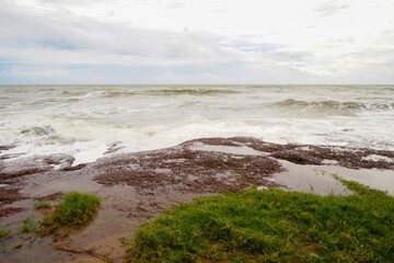 waves on the beach