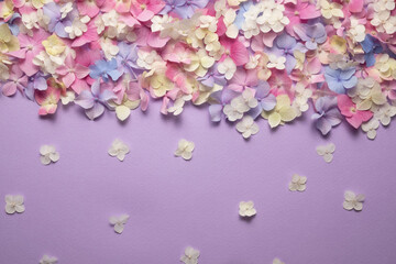 floral layout of hydrangea flowers on a lilac background. Top view, flat lay.