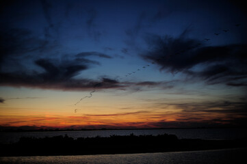 Obraz premium Etang de Vaccares Camargue soleil couchant