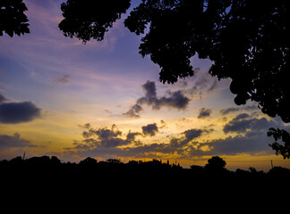 Panoramic tree silhouette at sunset. Silhouette of trees and sky clouds in yellow and dark blue in the afternoon. Silhouettes of dark trees and texture of thick clouds at a beautiful sunrise