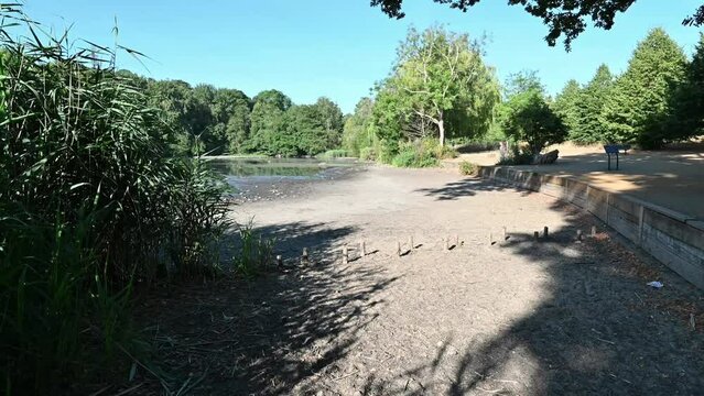 The effects of drought on a Pond  in Reigate, Surrey during the hot summer of 2022. 