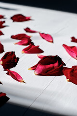 The petals of the red wilted rose are brightly lit by sunlight and scattered on a white rough background. Shadows from the plants fall on the petals. Flat lay. Top view.