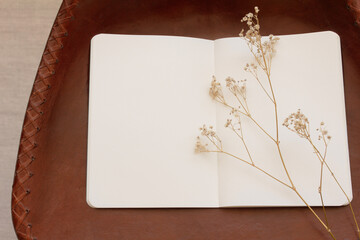 Dried hazel flowers placed on an empty spread of notebooks seen from a high angle.
