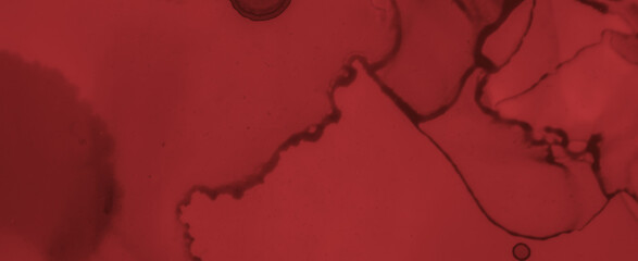 Grunge Blood Background. Rose Ink Wallpaper.