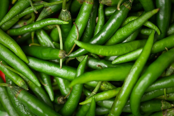 Close-Up of of Indian Organic fresh green chili ( Capsicum annuum ) as full frame background