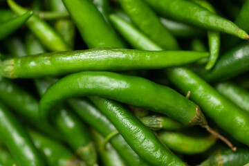 Close-Up of of Indian Organic fresh green chili ( Capsicum annuum ) as full frame background