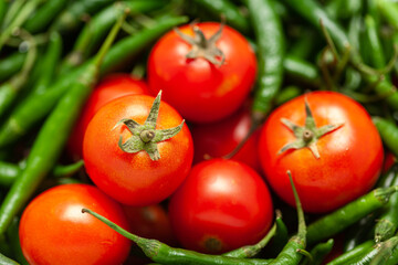 Close-Up of of Indian Organic fresh tomato (Solanum lycopersicum ) and green chili ( Capsicum annuum )