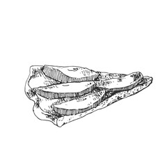 hand drawn vector fresh french tart tatin dessert