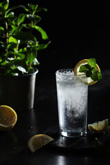 A glass with sparkling water with lemon	
