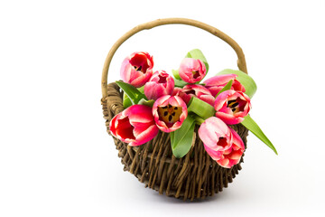 Fototapeta na wymiar red tulips in a basket