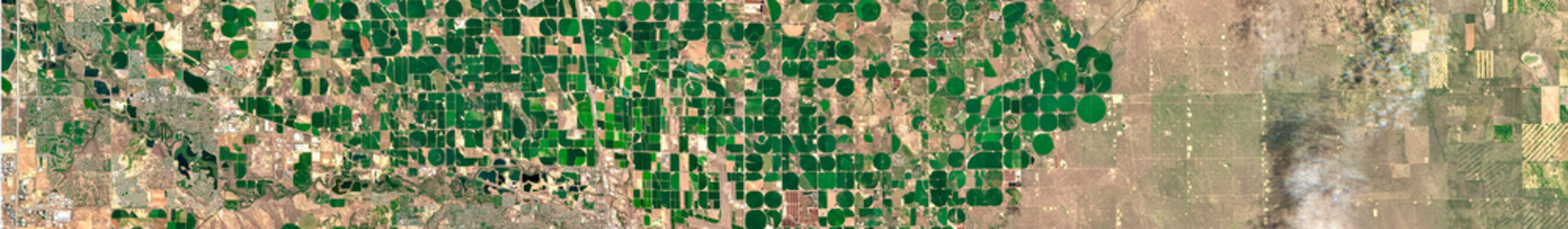 Center pivot irrigation field 
