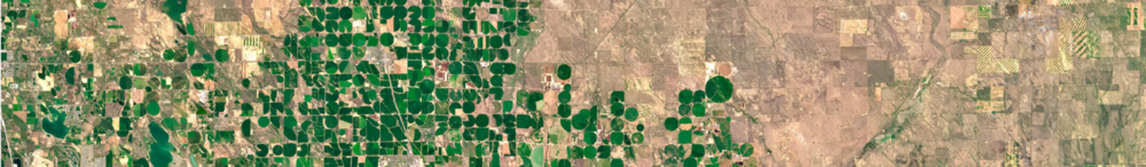 Center pivot irrigation field 
