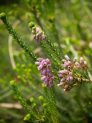 Fotografías Luna Guillén Aguirre