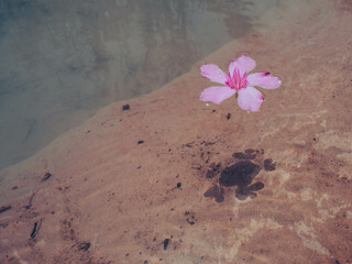 Fotografías Luna Guillén Aguirre