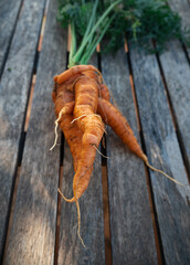 Fotografías Luna Guillén Aguirre
