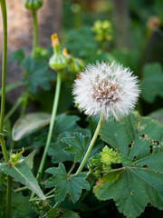 Fotografías Luna Guillén Aguirre