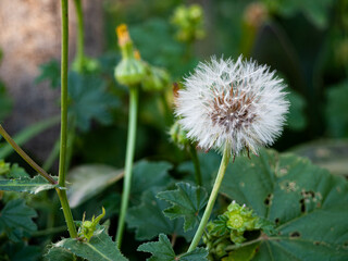 Fotograf&iacute;as Luna Guill&eacute;n Aguirre