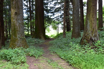 群馬県　吾妻郡　一宮神社　隠れた名所周辺の風景