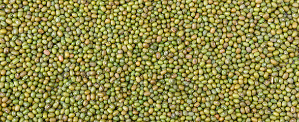 Mung beans background. Green bean seed background for design. Top view of dry organic mung bean...