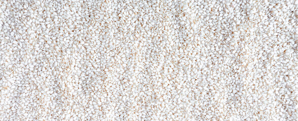 A lot of toasted sesame seeds. White sesame seeds on background. toasted white sesame seeds. background full of healthy and tasty white sesame seeds.
